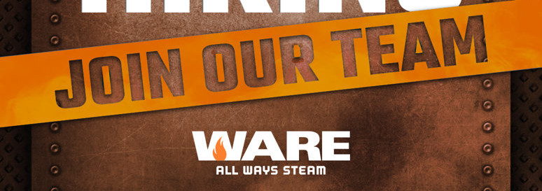 Rental Boiler and Hot Water Sales Professional