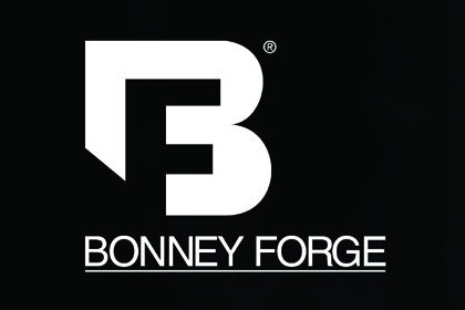 Bonney Forge Check Valve